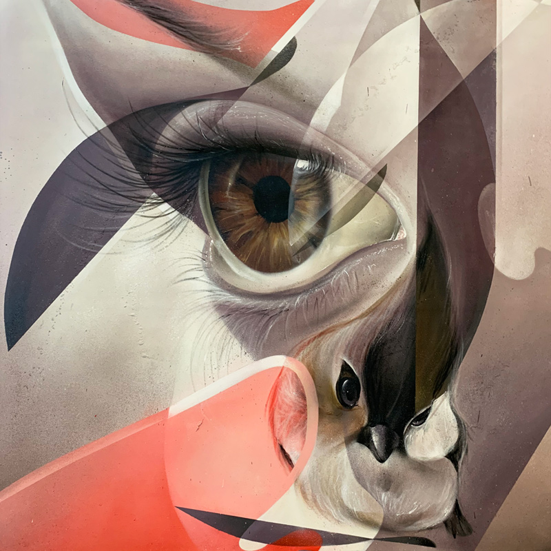 street art painting on canvas brown eye and bird