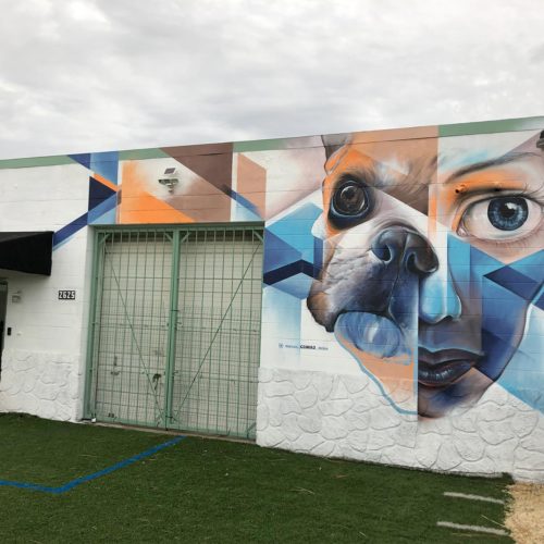 gomad mural st petersburg animal shelter
