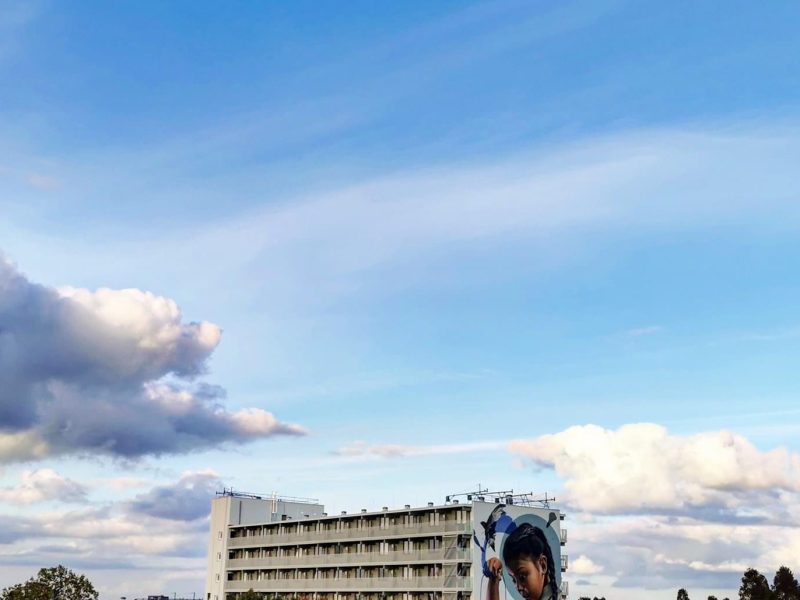 gomad mural muurschildering flat building geleen smug gomad mural muurschildering flat building geleen smug