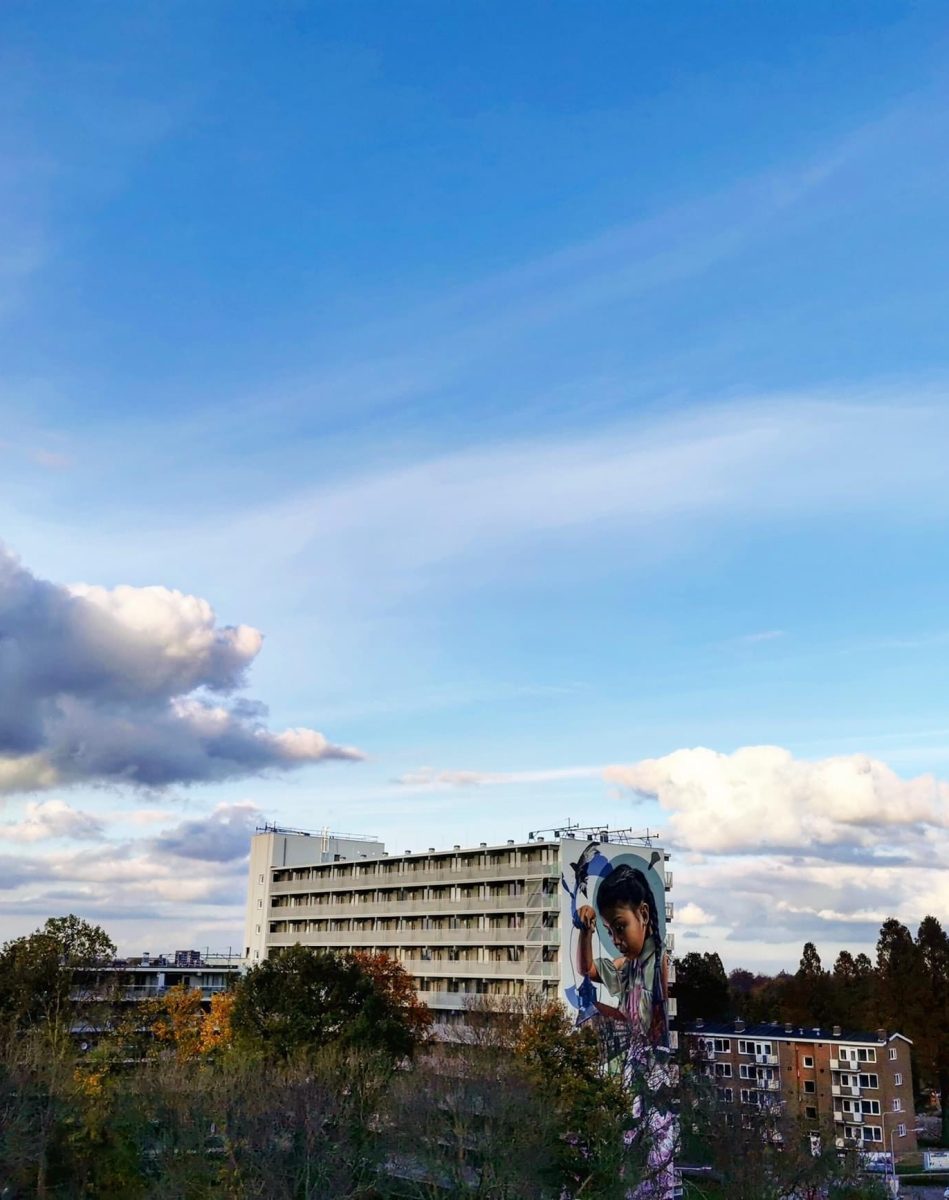 gomad mural muurschildering flat building geleen smug