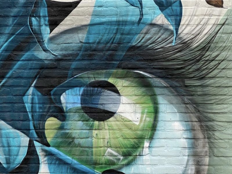 gomad mural muurschildering geleen electriciteitshuisje gomad mural muurschildering geleen electriciteitshuisje