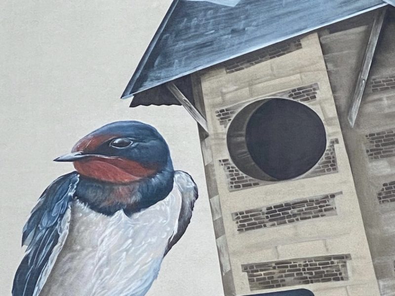 gomad mural muurschildering flat building geleen smug Detail van muurschildering in Geleen – kleurrijke vogel op grote hoogte