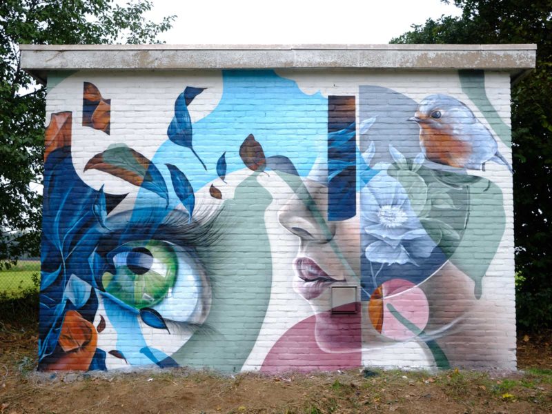 gomad mural muurschildering geleen electriciteitshuisje gomad mural muurschildering geleen electriciteitshuisje