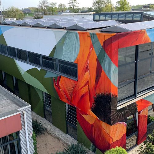 Gomad mural poppy building wall eindhoven