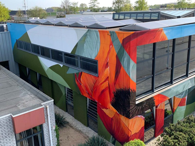 Gomad mural poppy building wall eindhoven Gomad mural poppy building wall eindhoven