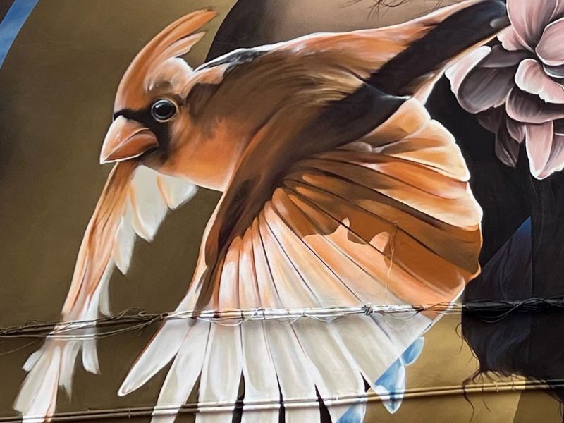 gomad-mural-pompei-street-festival-5 gomad-mural-pompei-street-festival-5