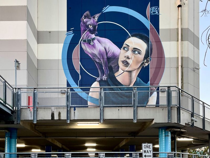 gomad mural big picture fest frankston australia gomad mural big picture fest frankston australia