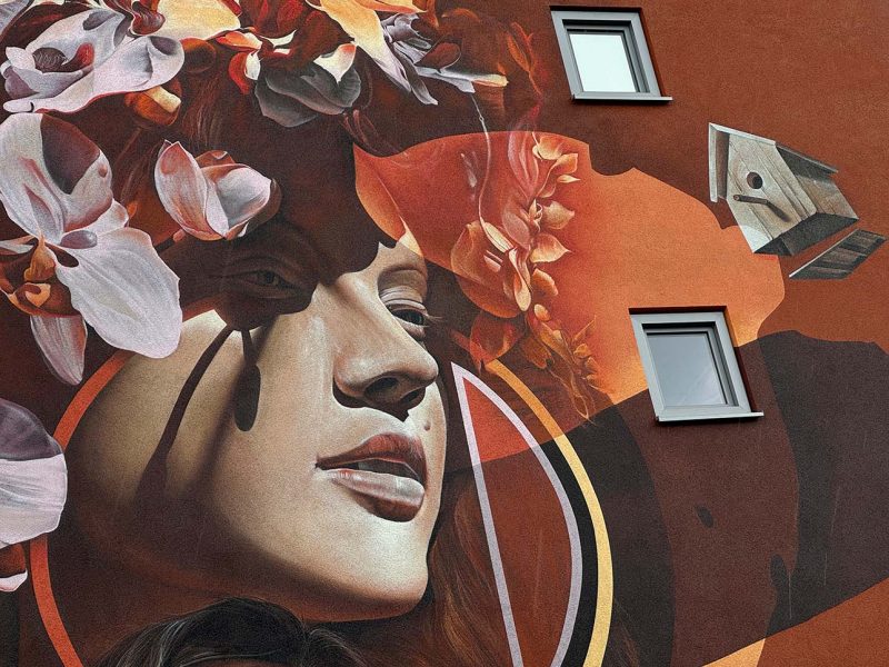 gomad mural geleen oranjelaan gomad mural muurschildering geleen oranjelaan