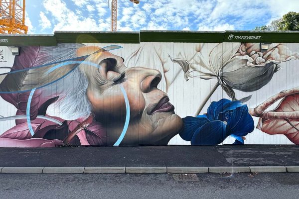 gomad mural gothenburg sweden Detail of large scale mural by GOMAD gothenburg sweden trafikverket