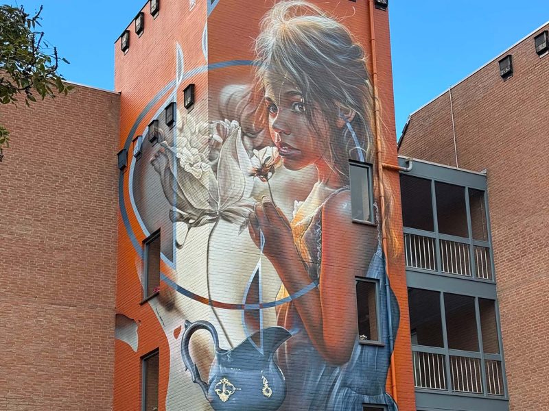 gomad mural muurschildering wyckerpoort maastricht gomad mural muurschildering wyckerpoort maastricht