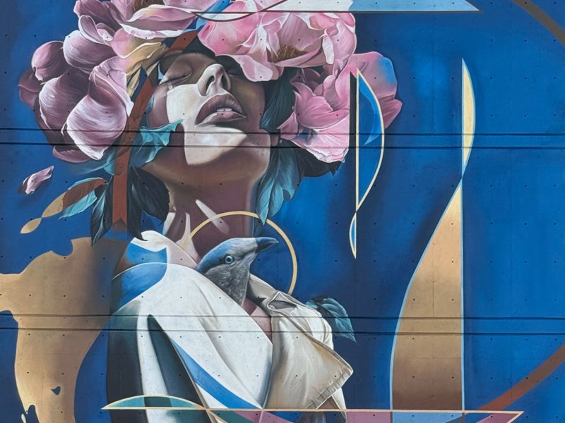gomad the mural fest south salt lake usa 2025 gomad the mural fest south salt lake usa 2025
