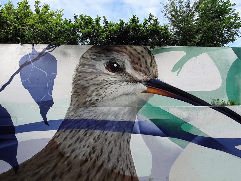 gomad tunnel mural duin horst en weide wassenaar