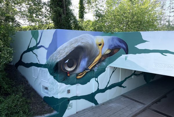 Street art kunst voor tunnels en viaducten wassenaar
