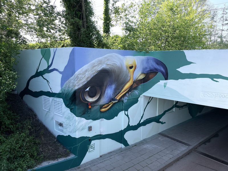 gomad tunnel mural duin horst en weide wassenaar