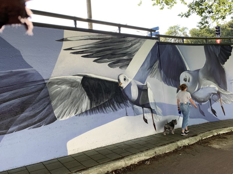 gomad tunnel mural duin horst en weide wassenaar