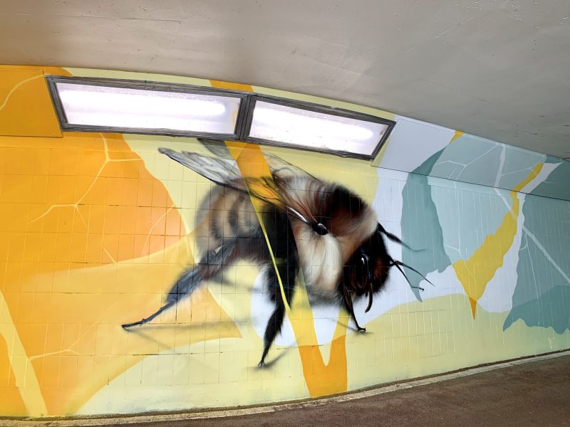 gomad tunnel mural duin horst en weide wassenaar