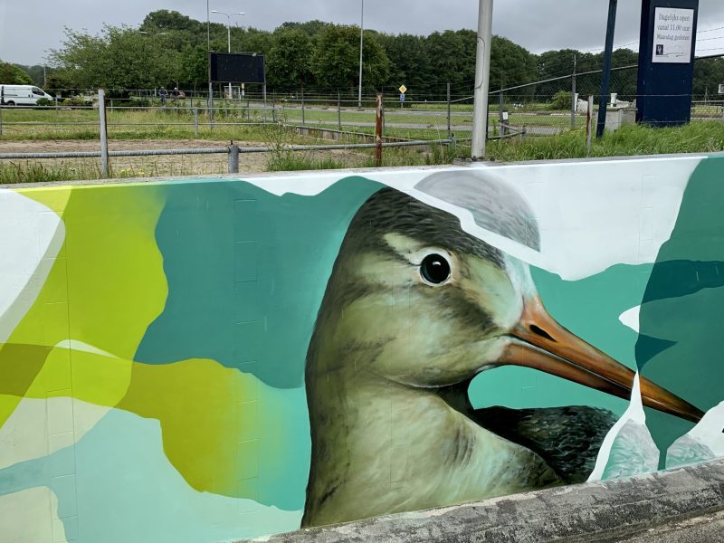 gomad tunnel mural duin horst en weide wassenaar