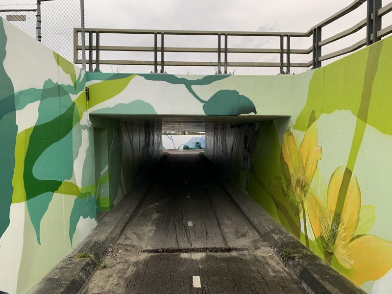 gomad tunnel mural duin horst en weide wassenaar