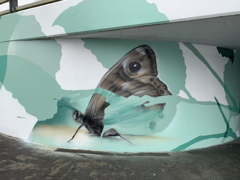 gomad tunnel mural duin horst en weide wassenaar