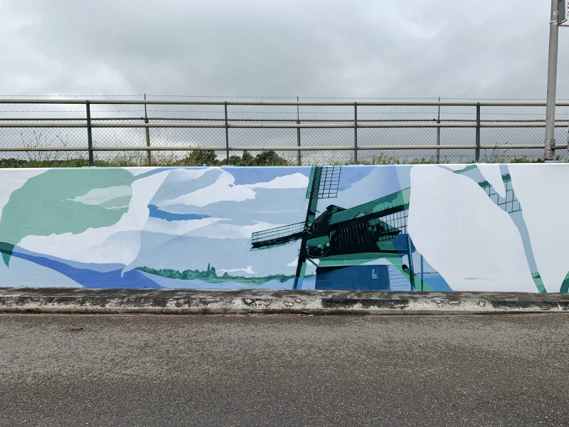 gomad tunnel mural duin horst en weide wassenaar