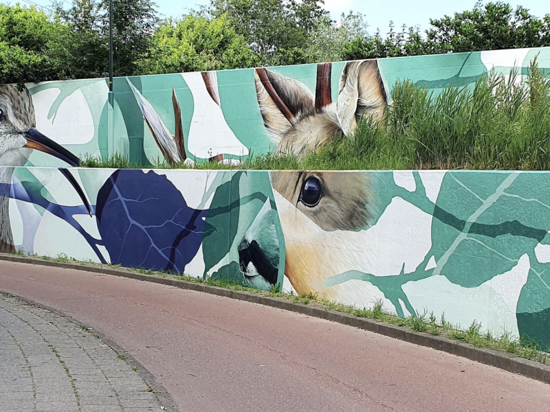gomad tunnel mural duin horst en weide wassenaar
