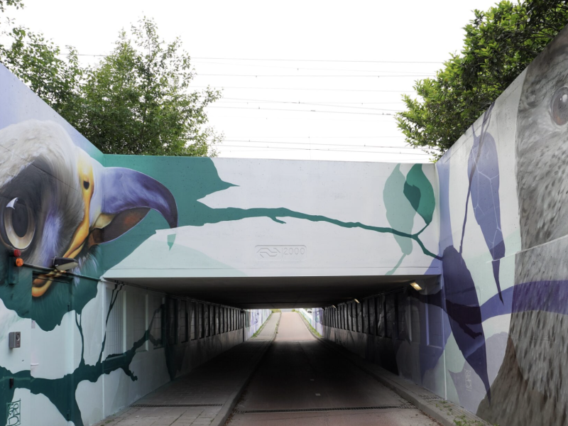 gomad tunnel mural duin horst en weide wassenaar