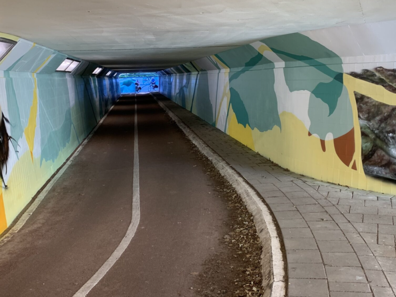 gomad tunnel mural duin horst en weide wassenaar