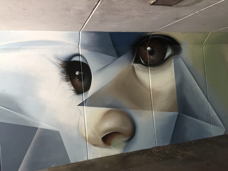 gomad anti graffiti muurschildering fietstunnel meerssen