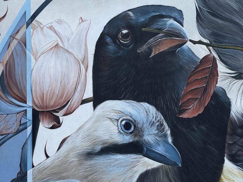 gomad mural zijgevel kortenberg brussel Graffiti kunstenaar gezocht in Nederland en België Vlaanderen