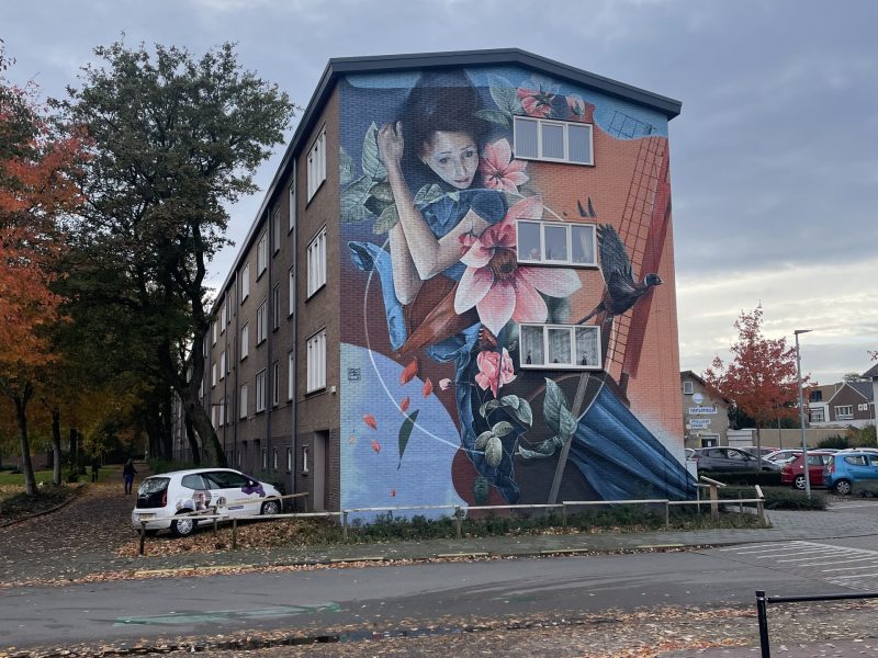 gomad muurschildering woningcorporatie panningen gomad muurschildering woningcorporatie wonen limburg panningen
