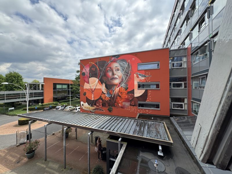 gomad muurschildering zijgevel vitalis eindhoven 2 gomad muurschildering zijgevel vitalis eindhoven