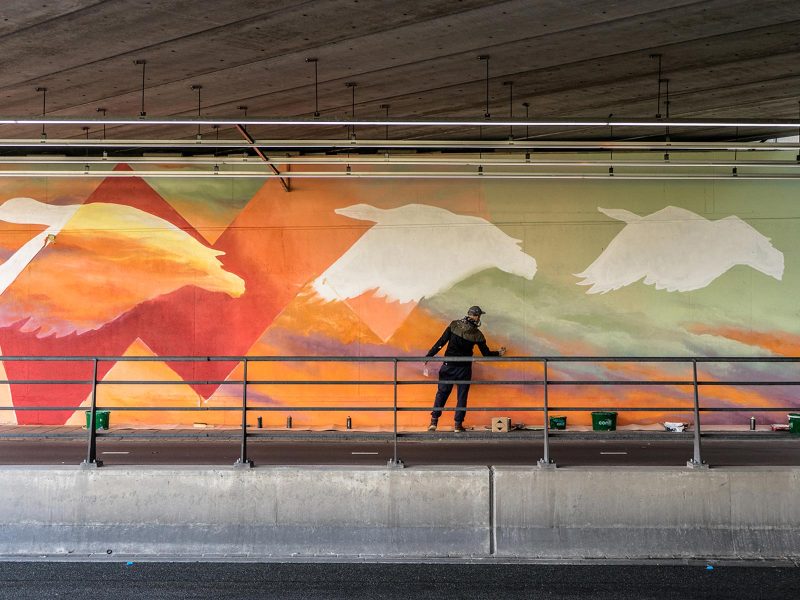 gomad muurschildering viaduct ganzen eindhoven