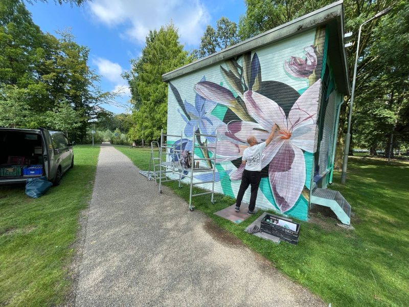 gomad muurschildering elektriciteitshuisje enexis stadspark sittard gomad muurschildering elektriciteitshuisje enexis stadspark sittard