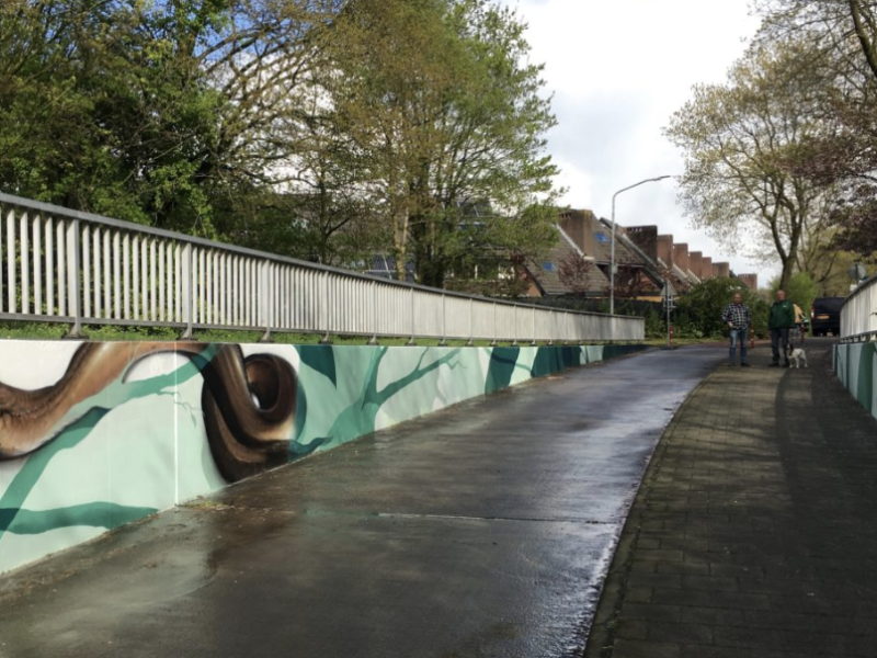 Gomad graffiti muurschilderingen fietstunnel Goirle