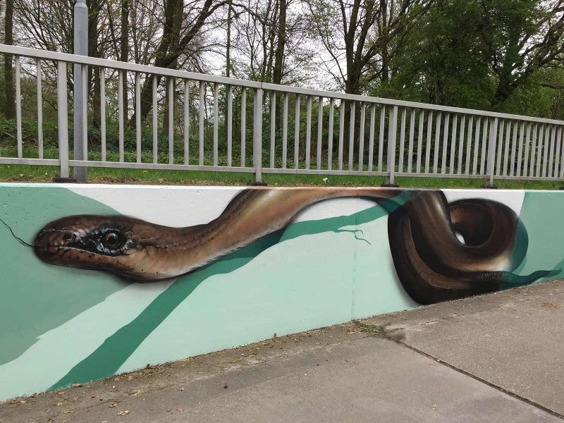 Gomad graffiti muurschilderingen fietstunnel Goirle