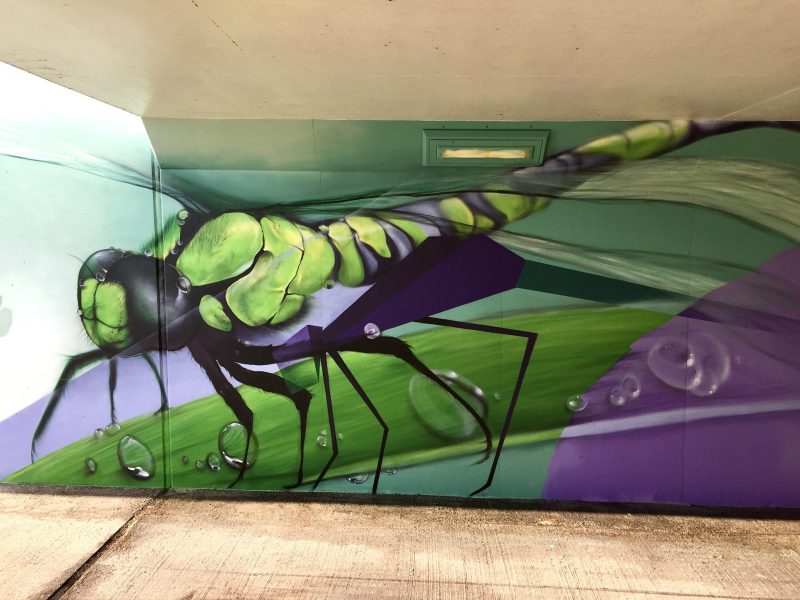 Gomad graffiti muurschilderingen fietstunnel Goirle
