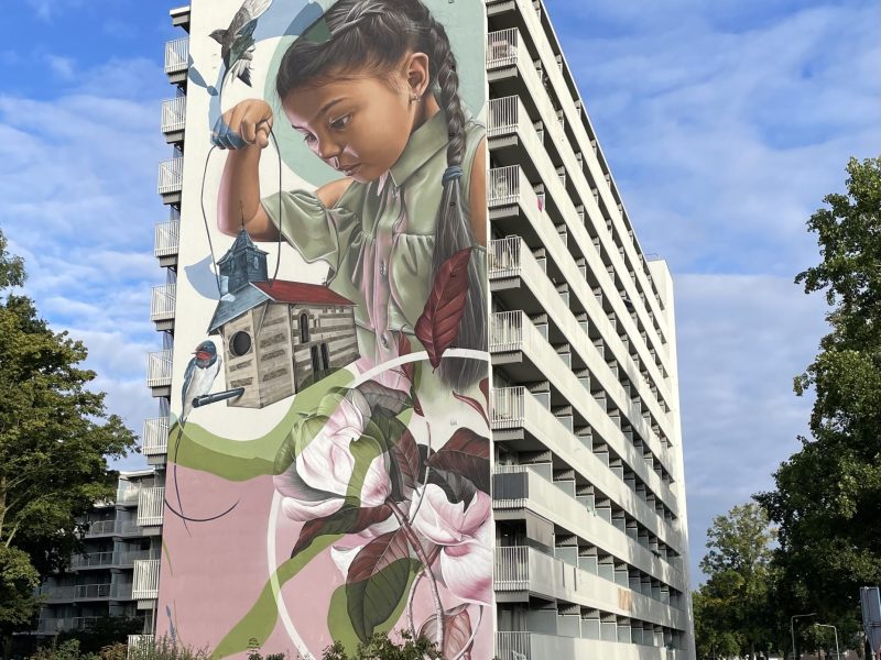 gomad mural zijgevel flatgebouw zowonen 10 verdiepingen geleen Graffiti op hoge flat in Geleen – monumentale mural door graffiti artiest voor grote projecten Marcus Gomad Debie