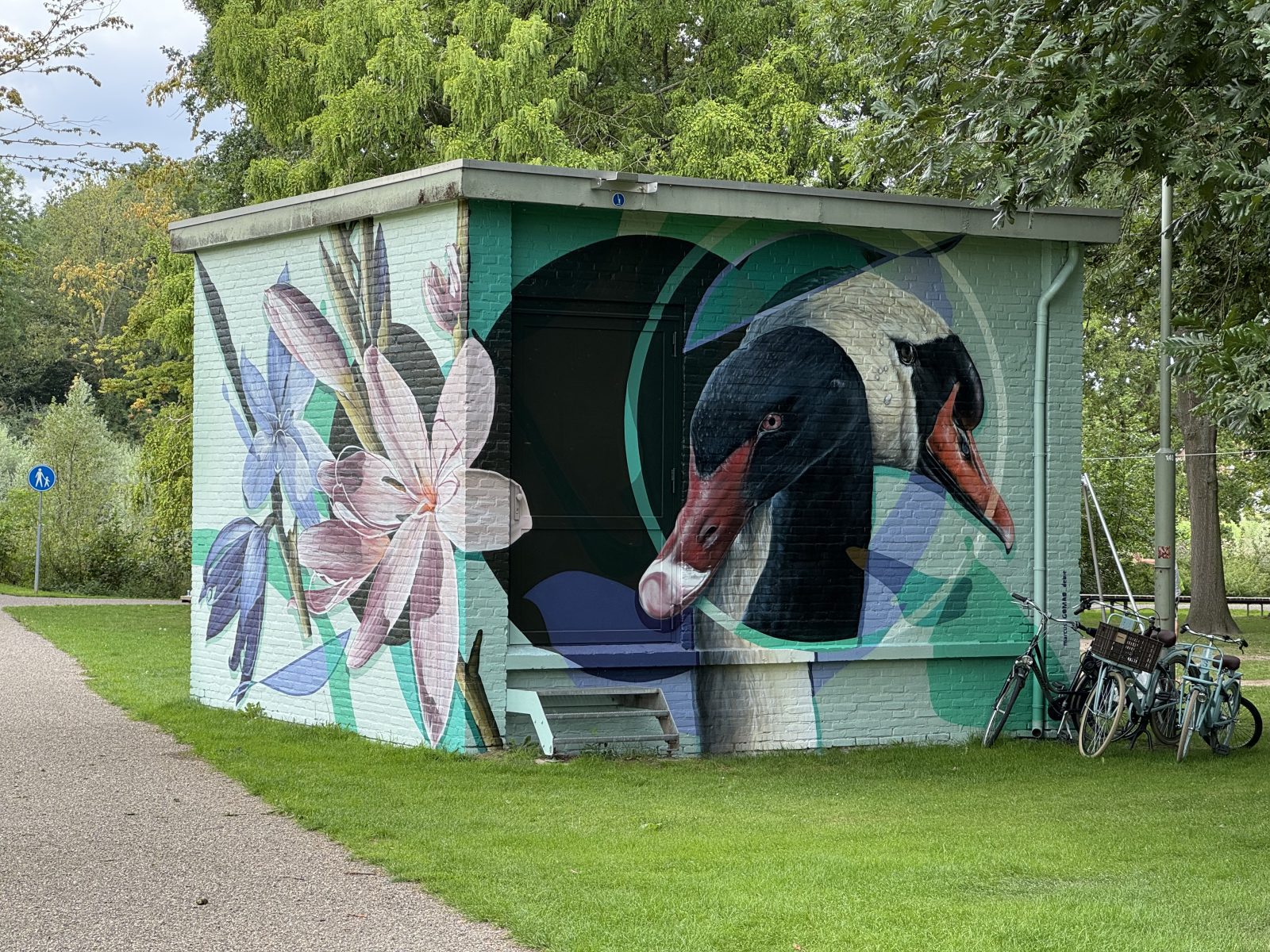 gomad muurschildering elektriciteitshuisje enexis stadspark sittard