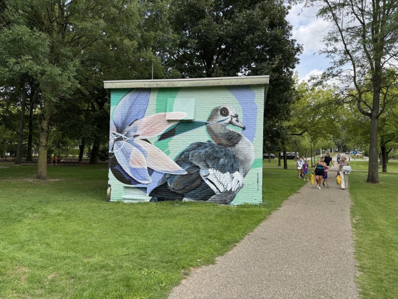 gomad muurschildering elektriciteitshuisje enexis stadspark sittard gomad muurschildering elektriciteitshuisje enexis stadspark sittard