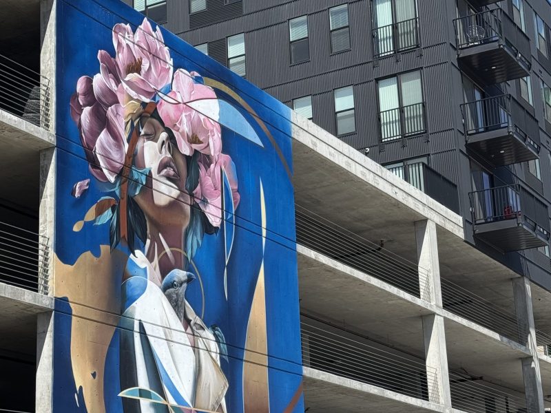 gomad mural fest SSL USA GOMAD mural fest South Salt Lake USA