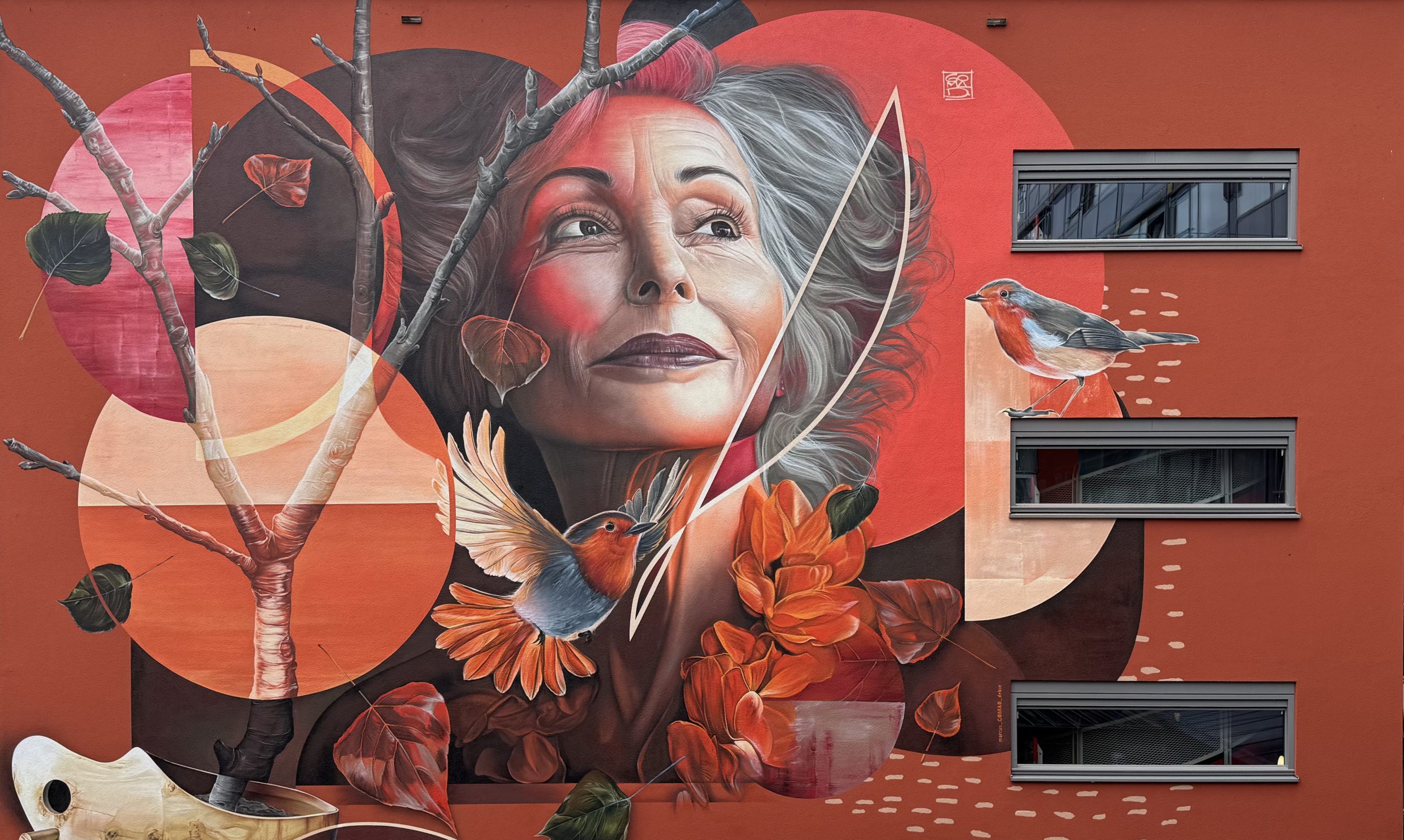 Graffiti artiest gezocht